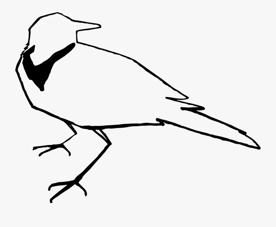 Clip Art Nebraska State Bird - Seabird, Transparent Clipart