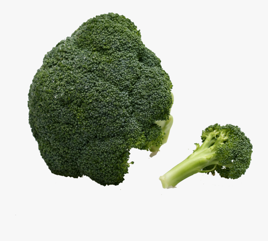 Broccoli Vegetable Immune System - Broccoli, Transparent Clipart