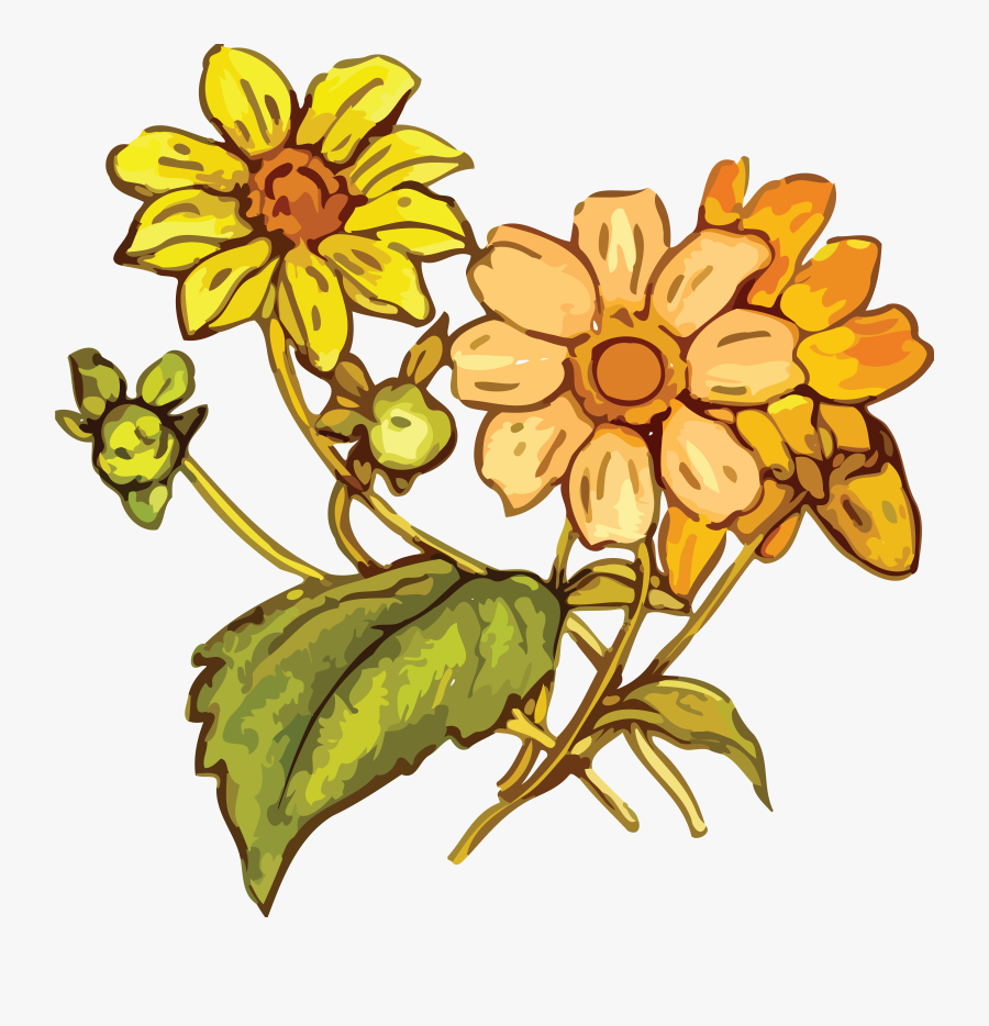 Transparent Wildflowers Png - Yellow Flower Drawing Png, Transparent Clipart