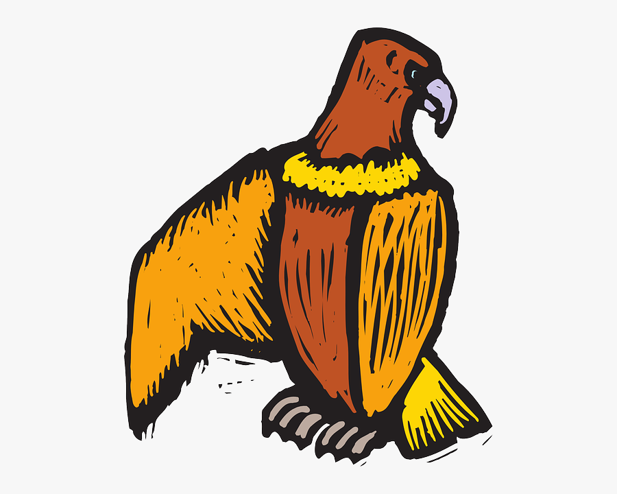 Scratch Eagle, Bird, Style, Wings, Art, Off, Beak, - Eagle, Transparent Clipart
