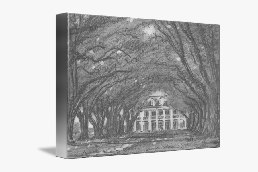 Mansion Drawing Plantation - Monochrome, Transparent Clipart