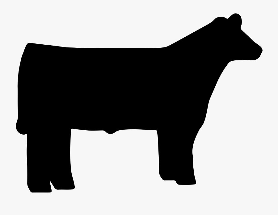 Beef Cattle Angus Cattle Sheep Livestock Show Clip - Show Steer Silhouette, Transparent Clipart