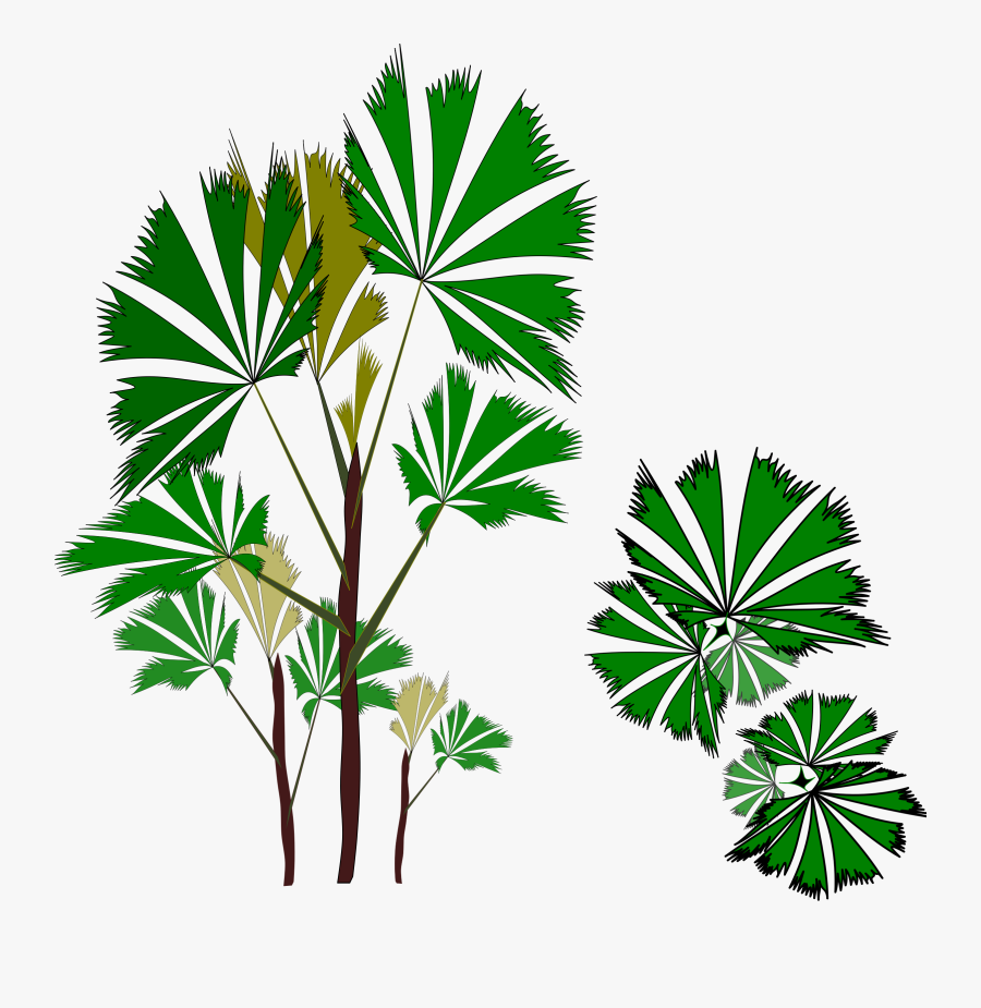 Raphis Big Image Png - Vegetation Clip Art Png, Transparent Clipart