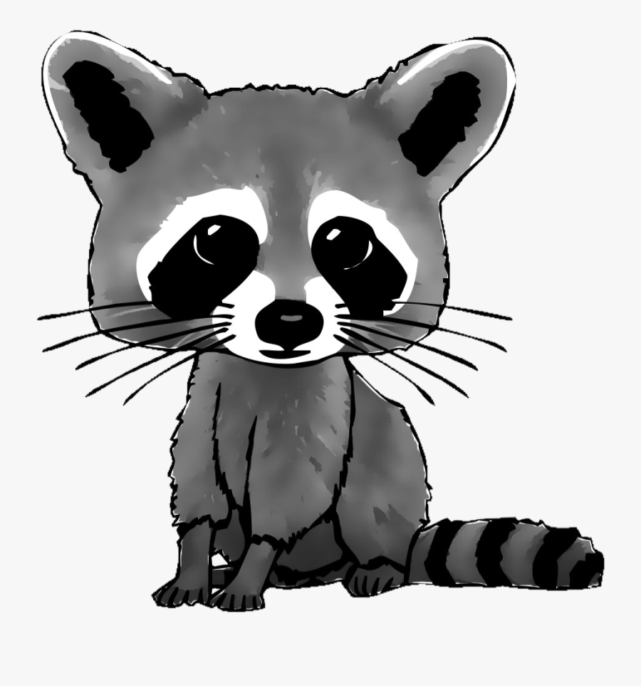 #freetoedit #raccooneyes #cute #racoon #vote4vote #like4like - Draw A Cartoon Racoon, Transparent Clipart