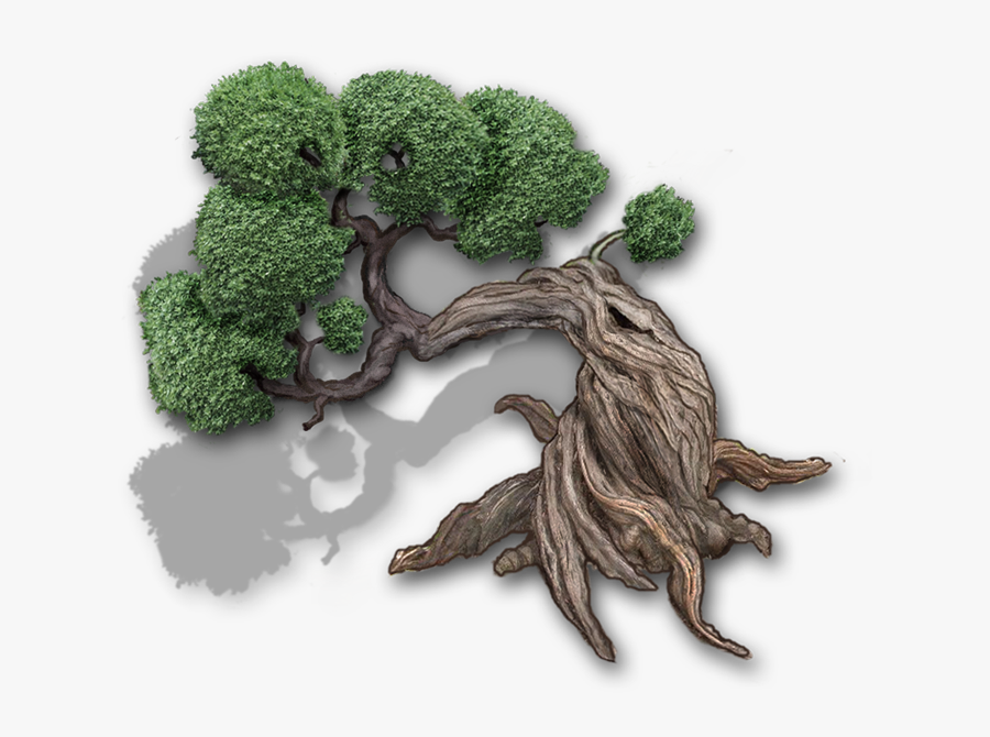 Bonsai Tree Darker Shadow Med - Broccoli, Transparent Clipart