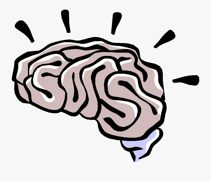 Image04 - Brain Clip Art, Transparent Clipart