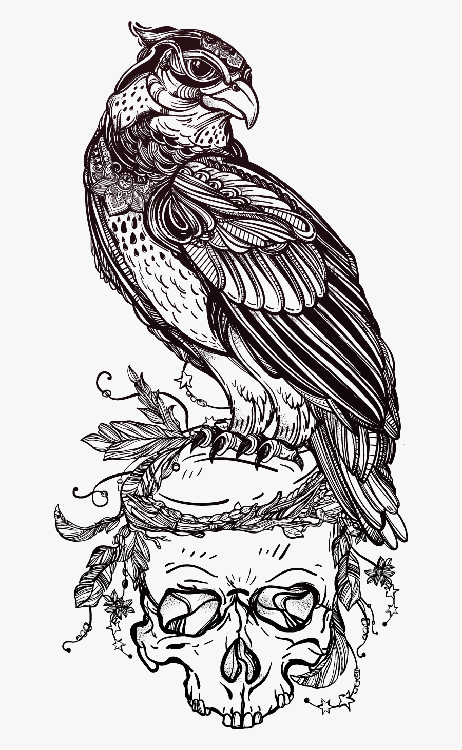 Tattoo Illustrator Skull Owl Of Material Bird Clipart - Bird Tattoo Outline Designs, Transparent Clipart