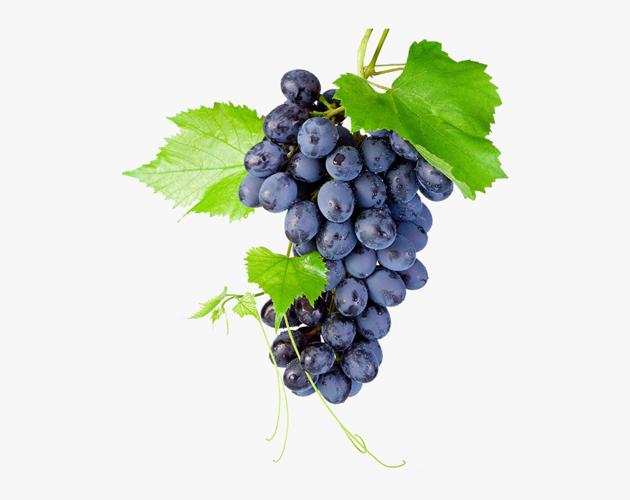 Paras De Uvas Png, Transparent Clipart