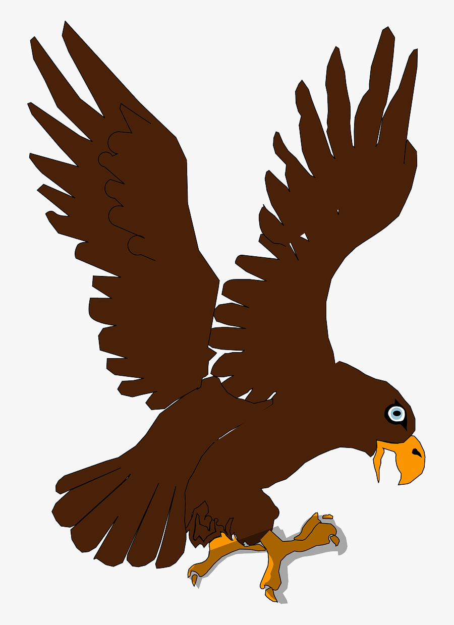 Facts About Eagle For Kids, Transparent Clipart