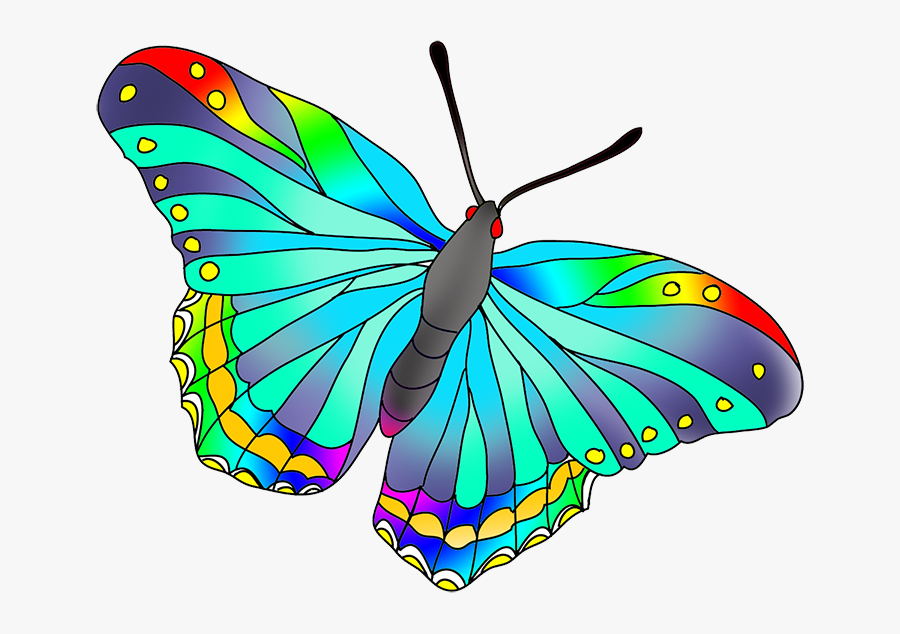 Butterfly With Different Colors, Transparent Clipart