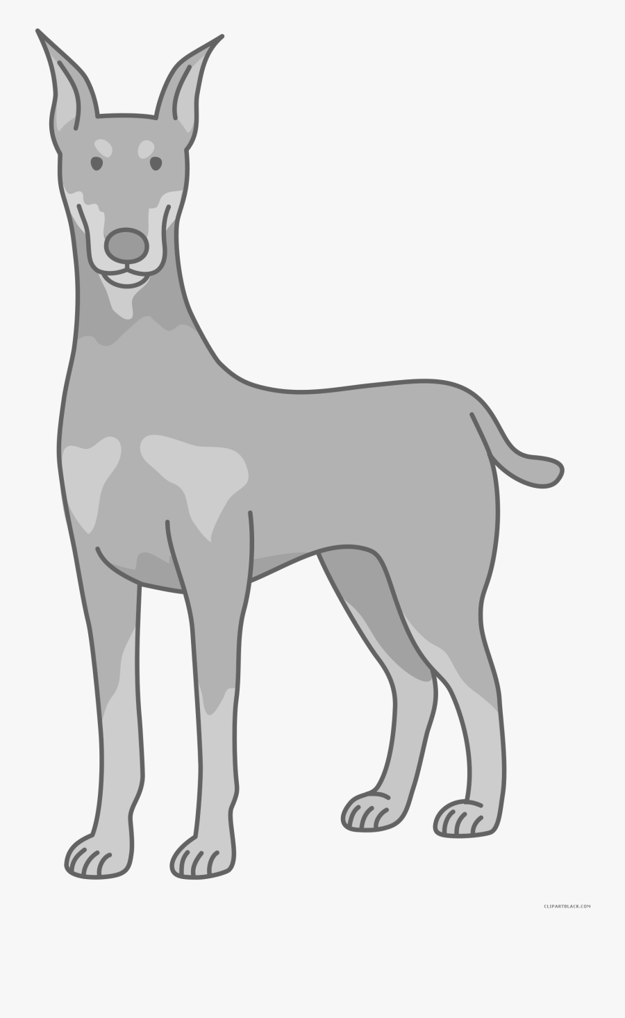 Prairie Falcon Clipart Sock - Transparent Doberman Clipart, Transparent Clipart