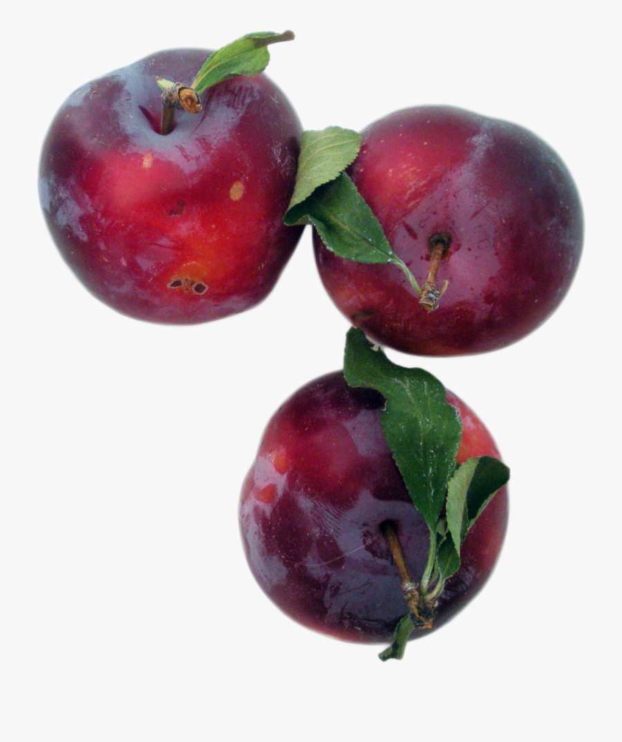 Plums Png Image - Plum Png Transparente, Transparent Clipart