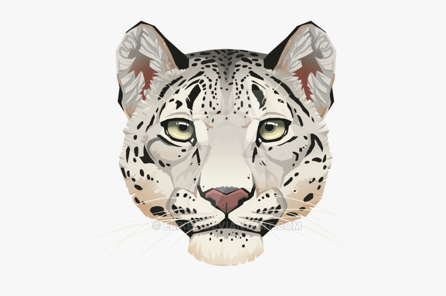 Png Transparent Images Pluspng - Snow Leopard Face Outline, Transparent Clipart