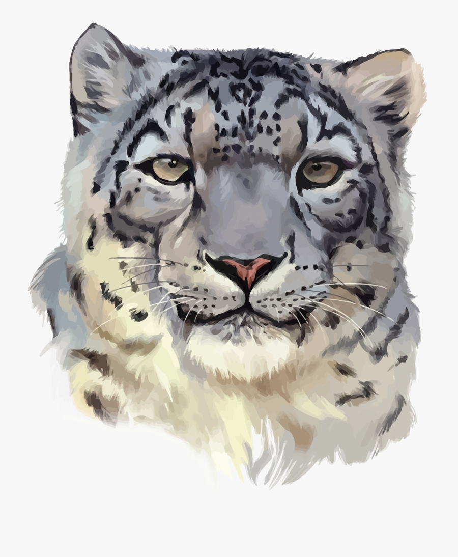 #mq #snow #leopard #animal #animals - Watercolor Clipart Snow Leopard, Transparent Clipart