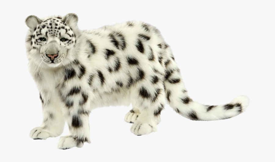 Transparent Mike Wazowski Png - Snow Leopard Transparent Background, Transparent Clipart