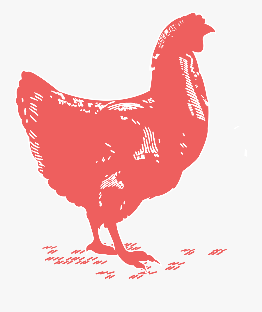 Chicken Breast - Rooster - Rooster, Transparent Clipart