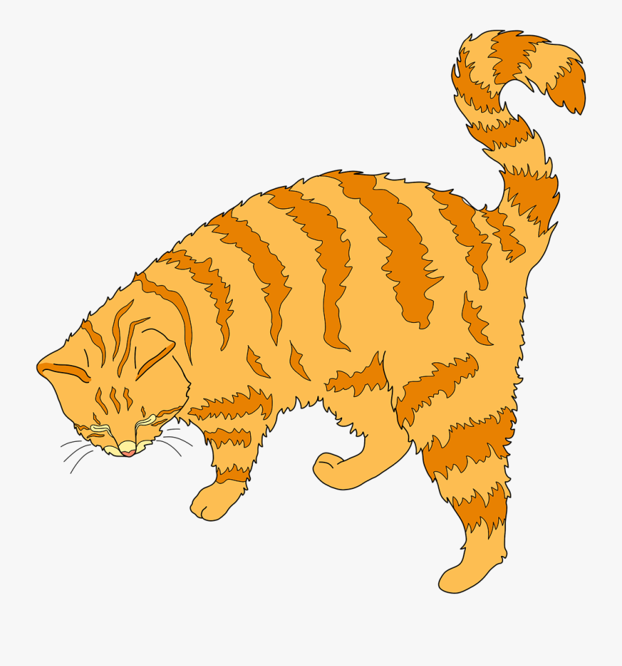 Cat Ginger Cat Cute Cat - Ginger Cat Clipart , Free Transparent Clipart -.....