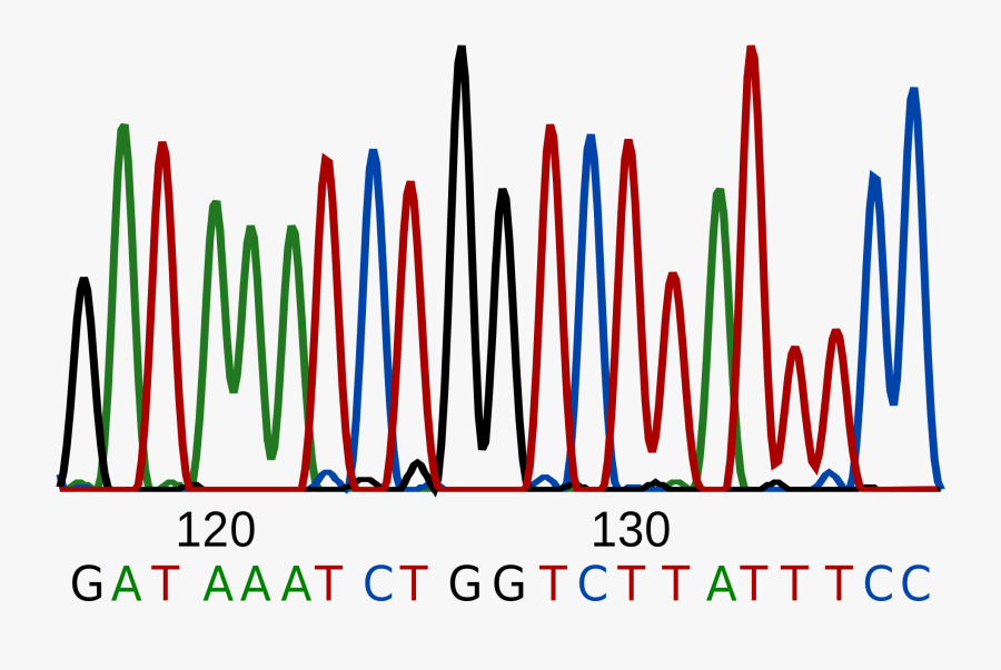 Sequence Dna, Transparent Clipart