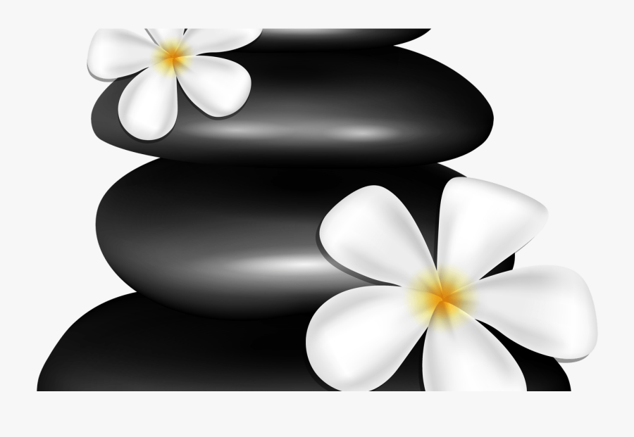 Spa Stones With White Flowers Png Clipart Image Gallery - Clipart Spa, Transparent Clipart