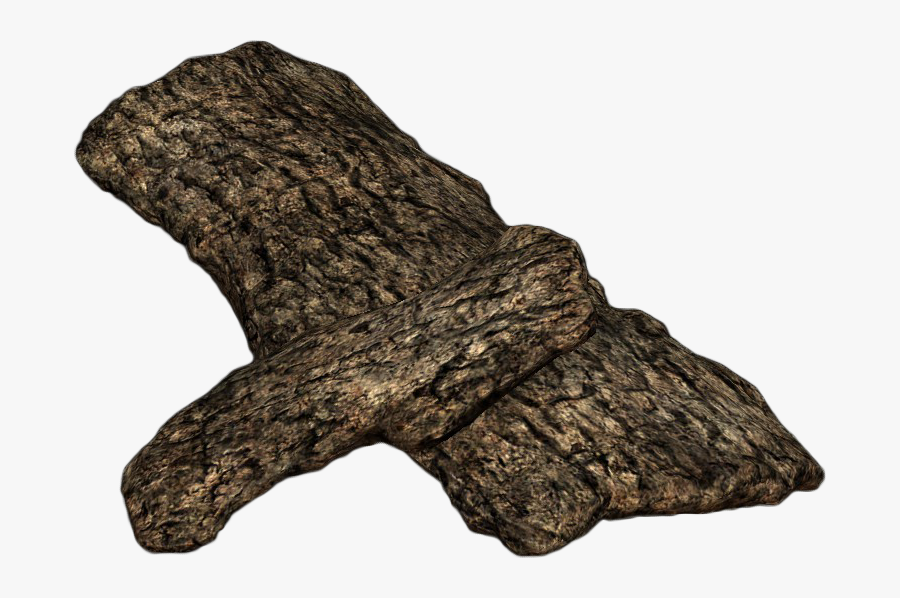 Oak Tree Bark Png, Transparent Clipart