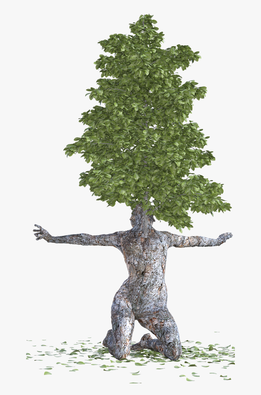 Tree Bark Woman, Transparent Clipart