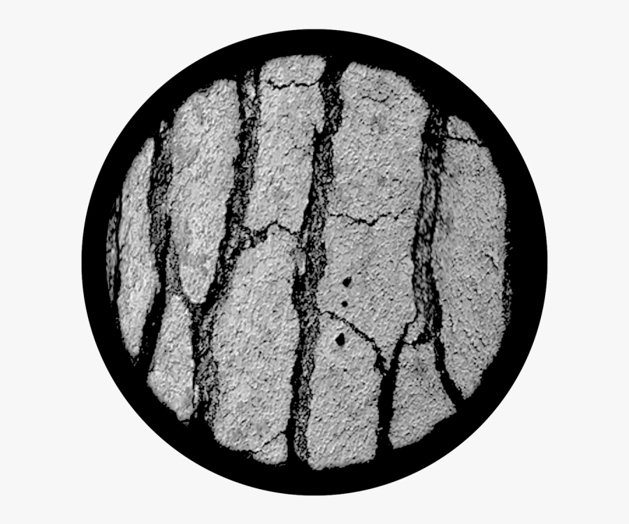 Tree Bark - Cobblestone - Circle, Transparent Clipart