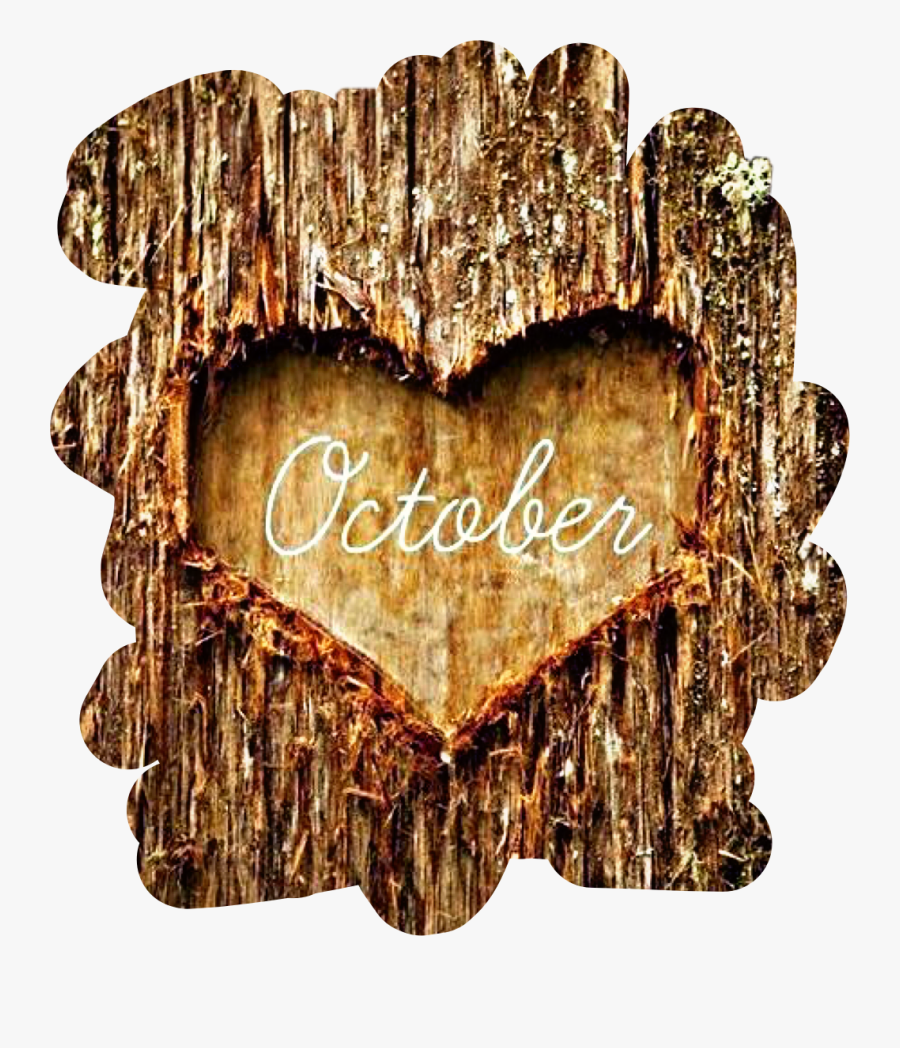 Transparent Tree Bark Png - October My Favorite Month, Transparent Clipart