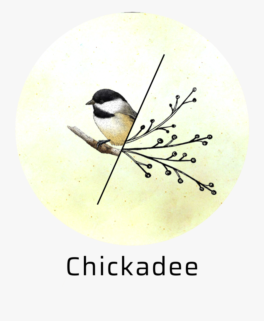 Transparent Chickadee Png - Black Capped Chickadee, Transparent Clipart