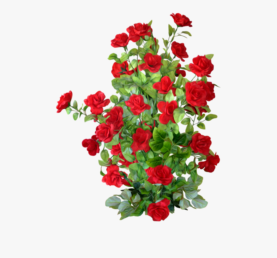 Clip Art Red Rosebush - Rose Plant Png , Free Transparent Clipart