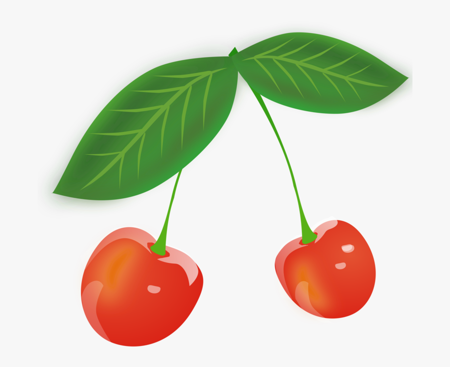 Plant,leaf,food - Cherry Leaves Clipart, Transparent Clipart