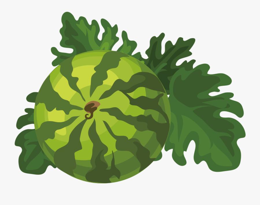 Watermelon With Leaves, Transparent Clipart