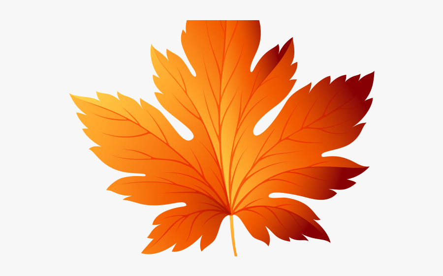 Transparent Autumn Leaves Vector, Transparent Clipart