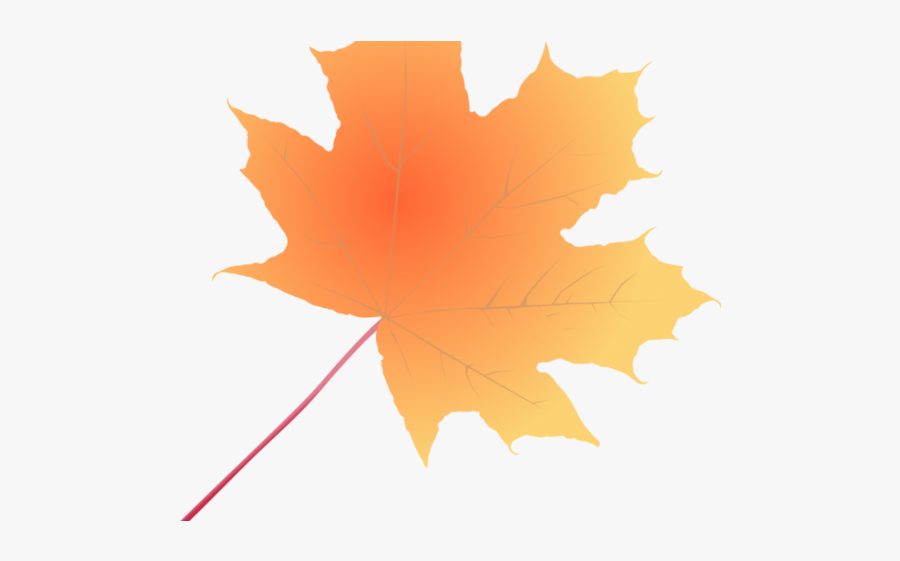 Maple Leaf Clipart Mapple - Maple Leaf, Transparent Clipart