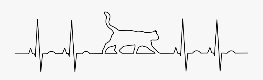 Image Transparent Download Clipart Cat Big Image - Ekg Dog And Cat, Transparent Clipart