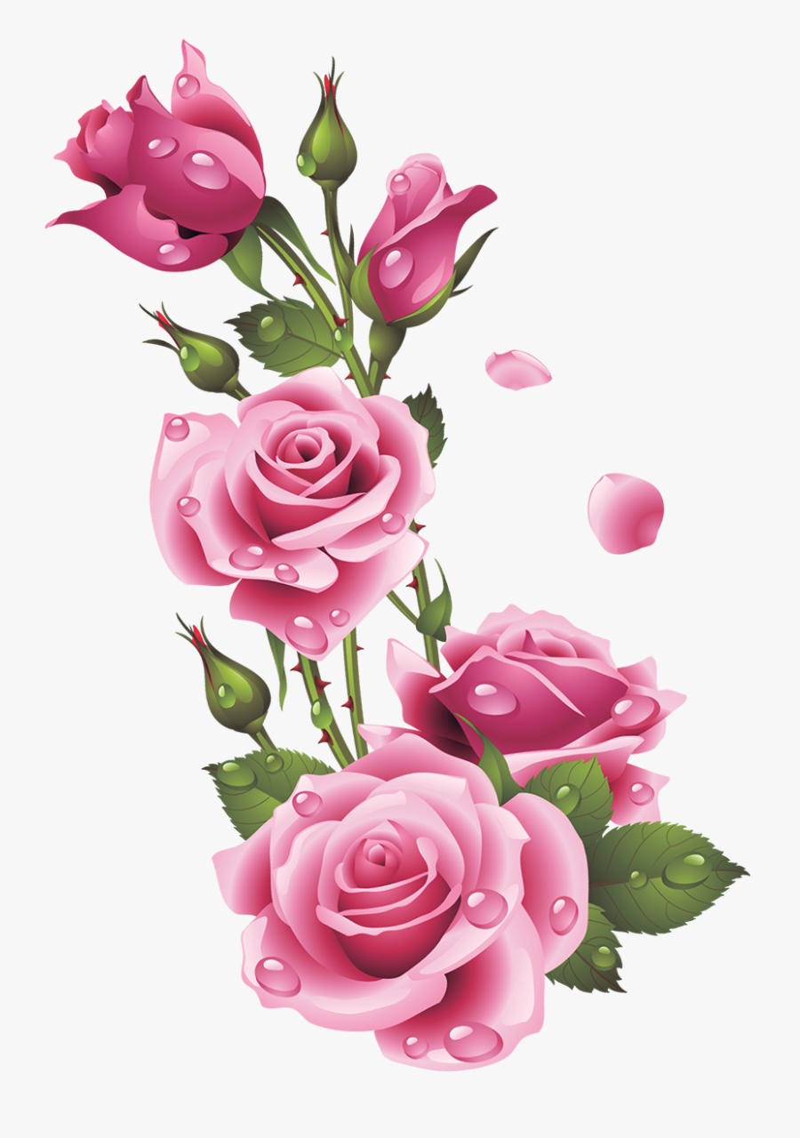Ruže « Category - Flower Beautiful Wall Stickers, Transparent Clipart