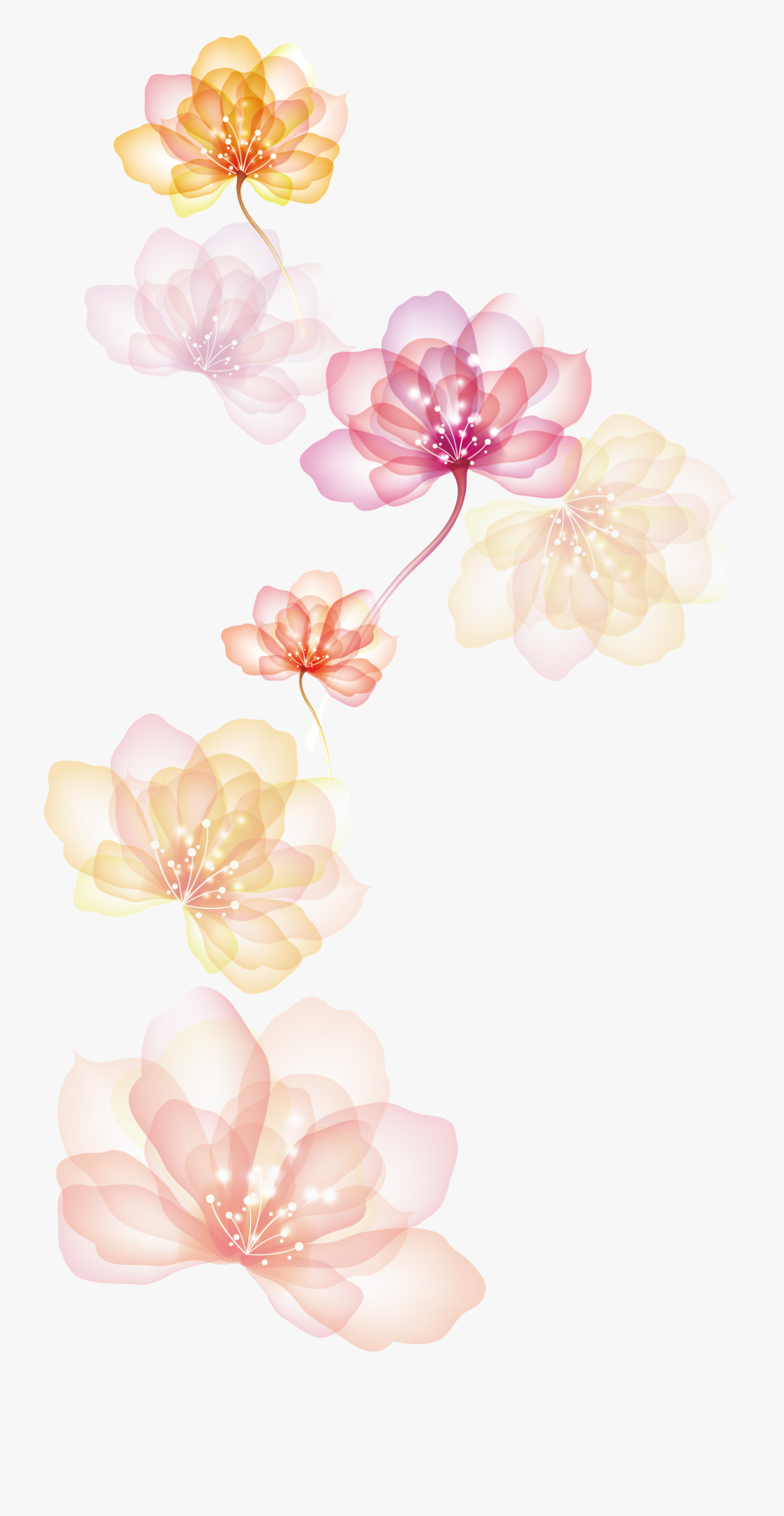 #borders #frames #border #frame #floral #flowers #flower - Akashica Png, Transparent Clipart