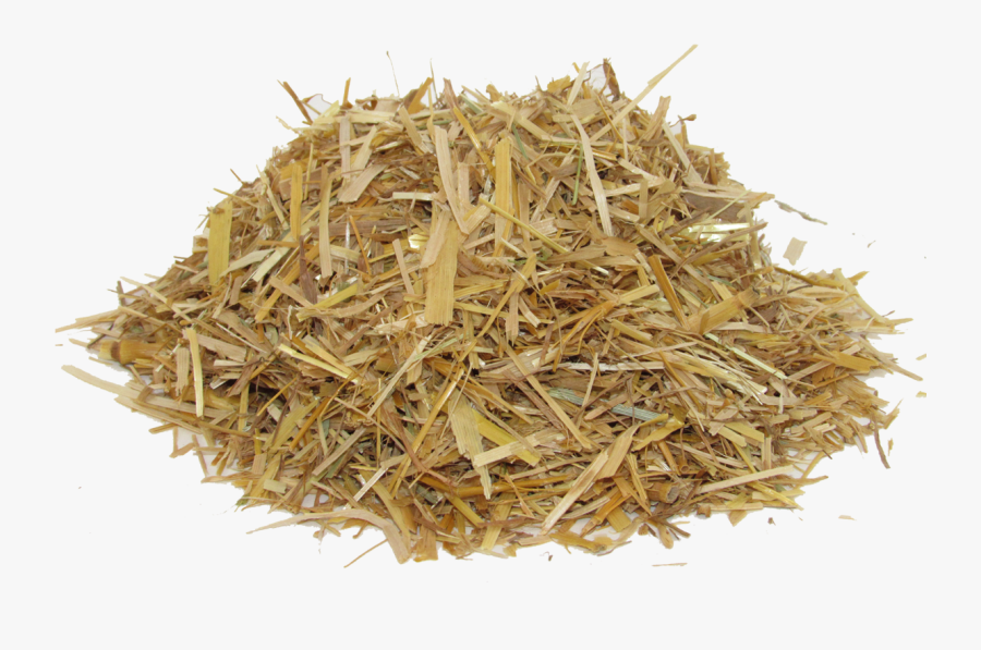 Oat Straw - Piece Of Hay .png, Transparent Clipart