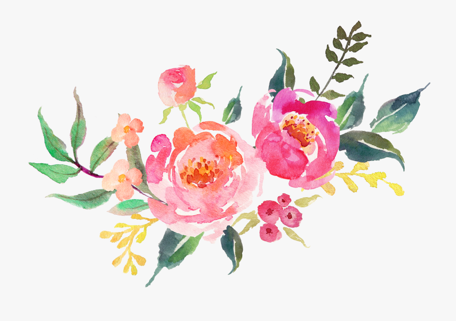 Watercolor Peonies Png - Flower Watercolor Transparent Background