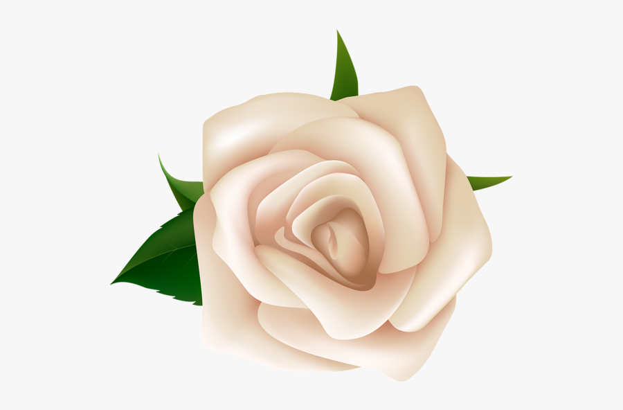 White Rose Clipart Png, Transparent Clipart