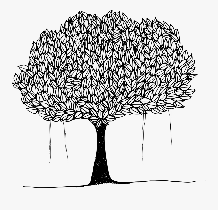 Art,monochrome Photography,twig - Tree With Leaves Clipart Black And White, Transparent Clipart