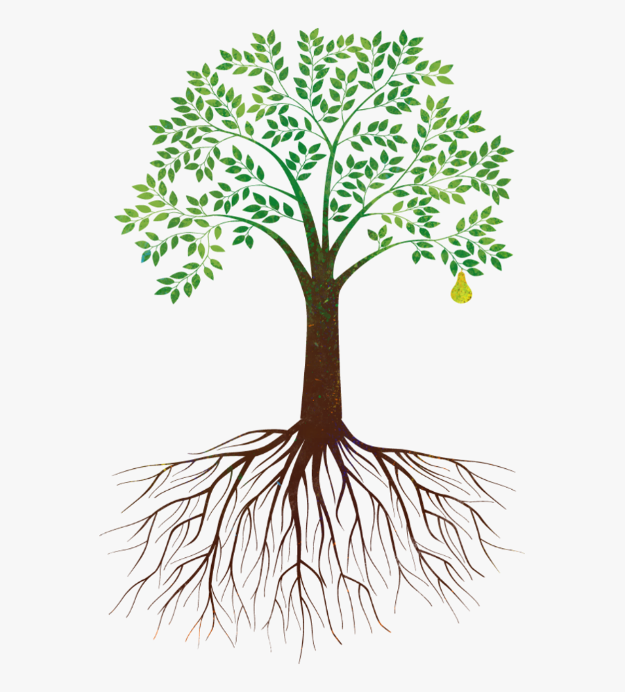 Transparent Background Tree With Roots Png, Transparent Clipart