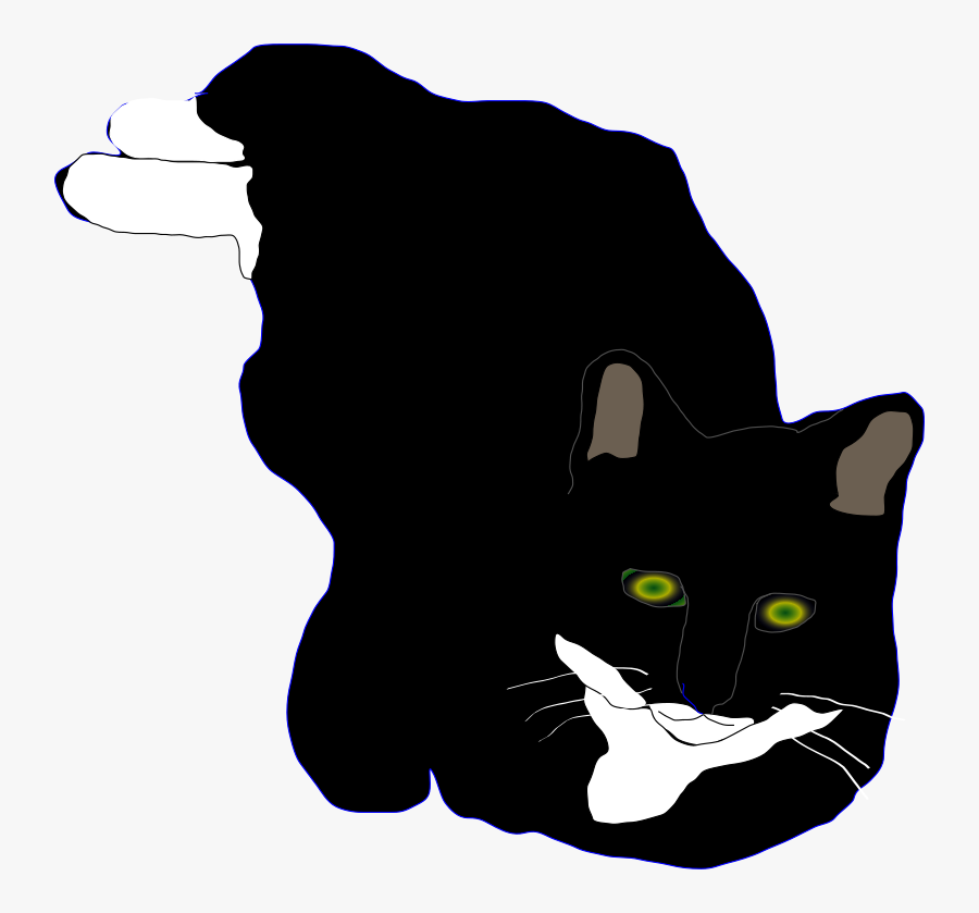 Feline - Domestic Short-haired Cat, Transparent Clipart