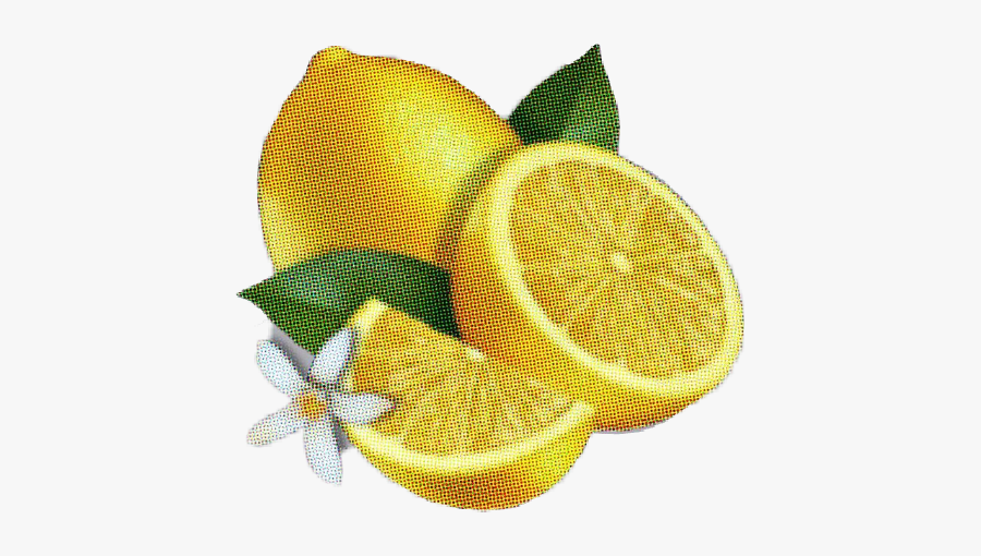 ##lemon #lemonade #beyonce #beyoncé #beyonceknowles - Dibujo De Una Lima Fruta, Transparent Clipart