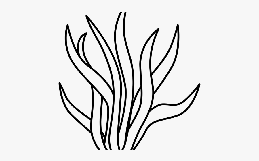 Seaweed Pattern Black And White , Free Transparent Clipart - Clipartkey