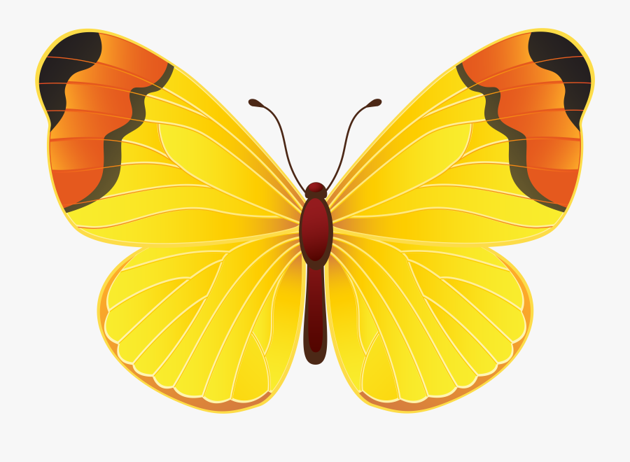 Download Free Clipart With - Yellow Butterfly Png, Transparent Clipart