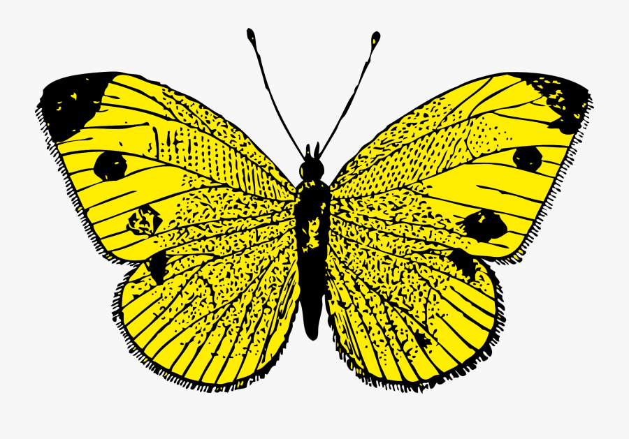Butterfly Png Image - Yellow Butterfly Moving Animation, Transparent Clipart