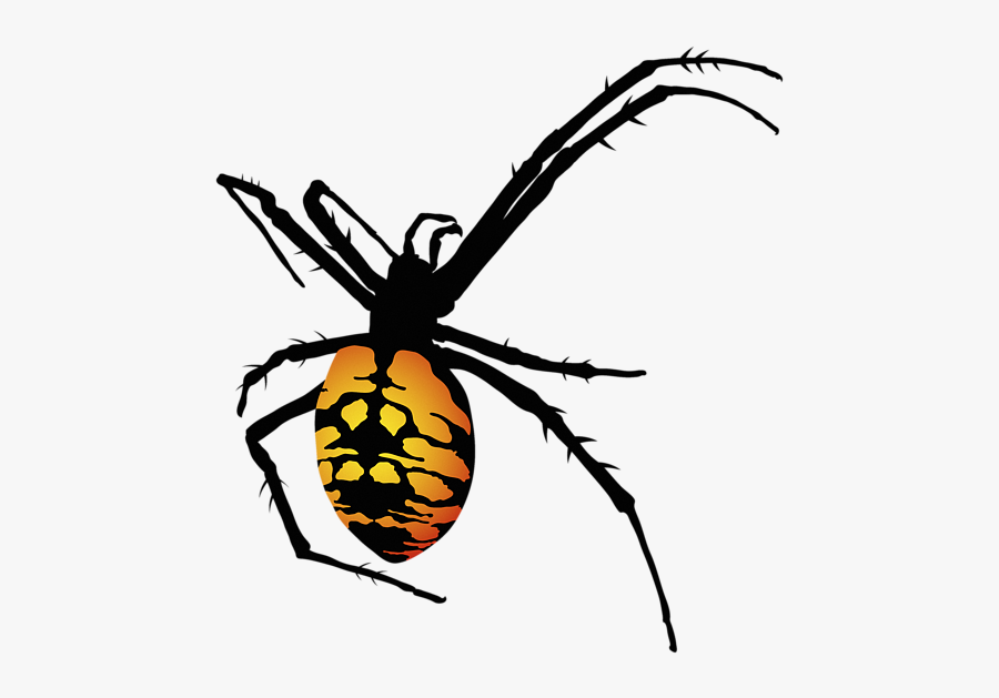 Spiders Clipart Orange Bug - Orange Spider Web Clipart, Transparent Clipart