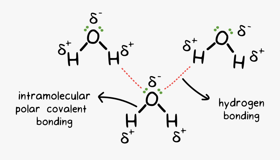 H2o Drawing Chemical Bond Intermolecular Hydrogen