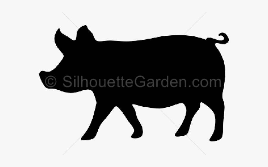 Pig Silhouette, Transparent Clipart