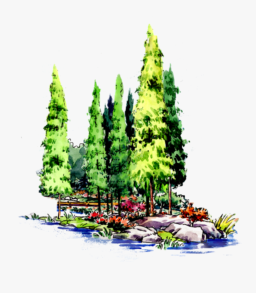 Forest Tree Landscape Architecture - Architecture, Transparent Clipart